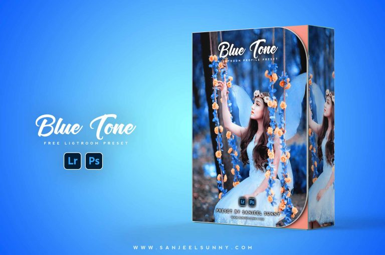 Blue Tone Lightroom Preset Free Download