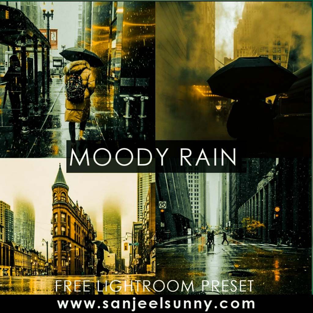 Moody Rain Lightroom Mobile Preset Free Download
